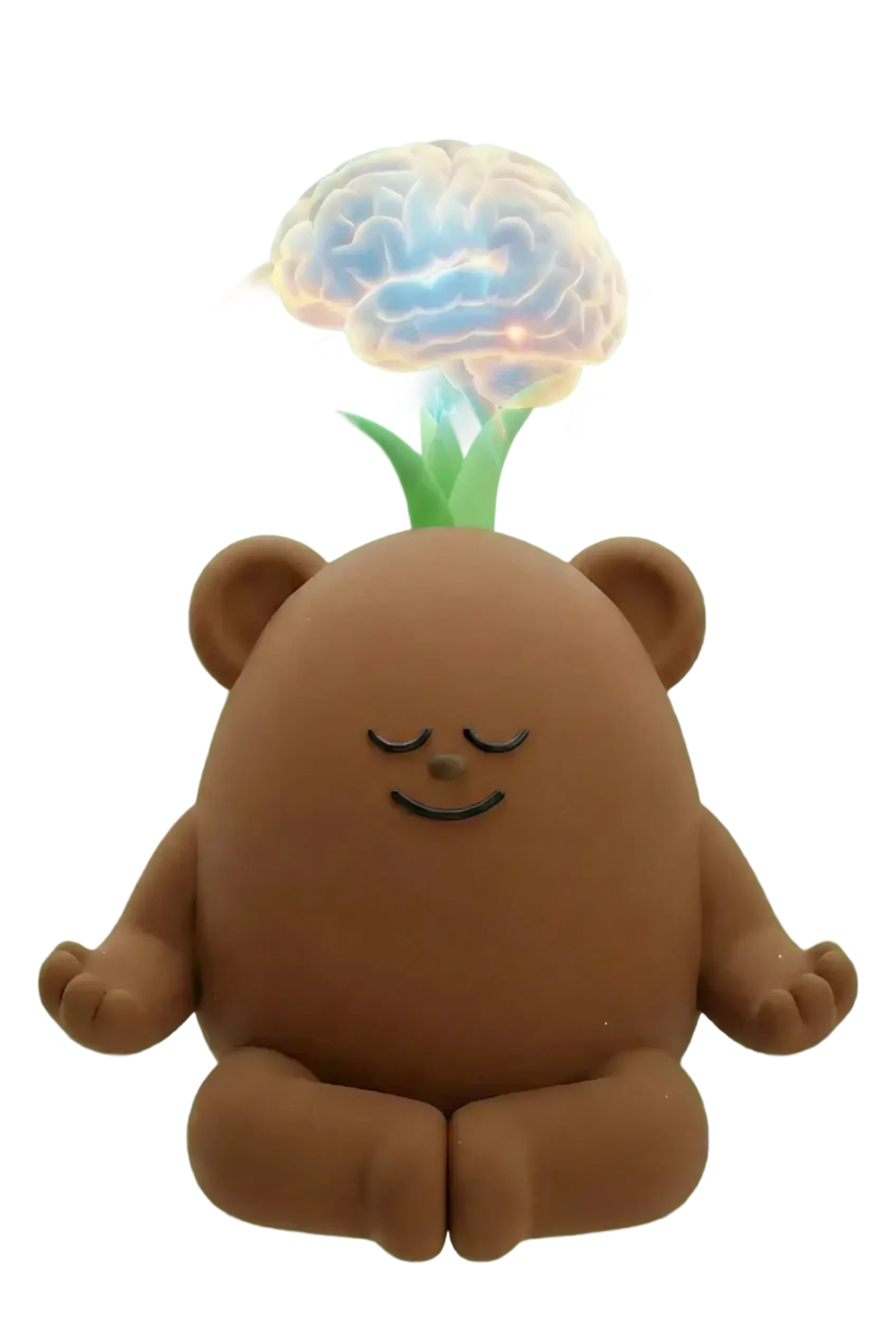 뿌리